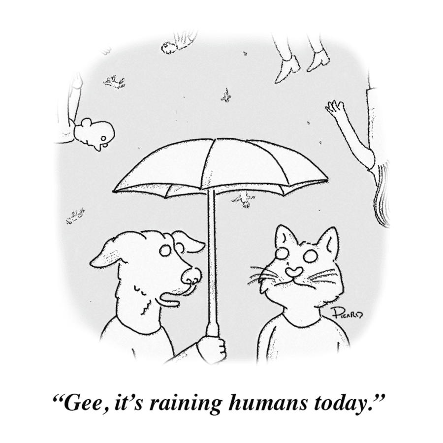 A dog and cat stand together under an umbrella, humans fall from the sky behind them. The dog remarks, Gee, its raining humans today.