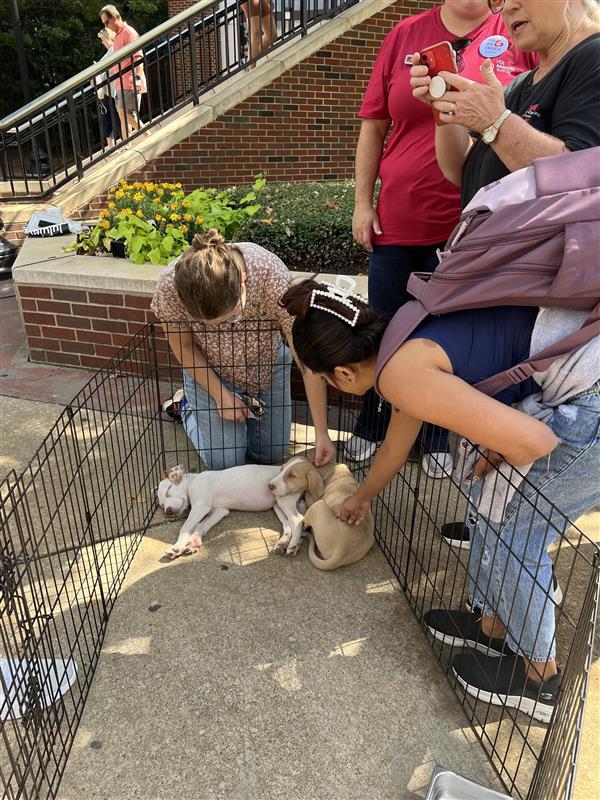 Students play with puppies at the “Destress and Play with Puppies” event at the Student Center Plaza.