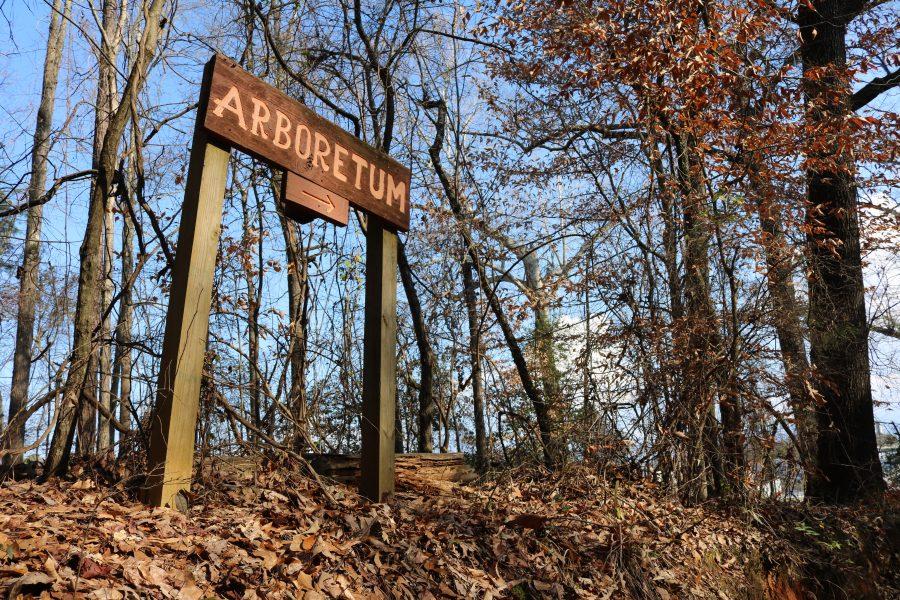 Hidden Gems of Tuscaloosa: Escape into nature at the arboretum