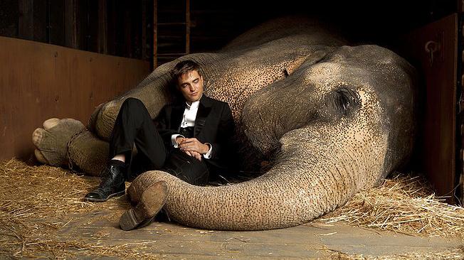Water+for+Elephants+blends+magic+and+history
