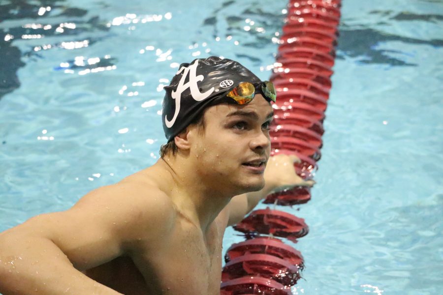 Underdog no more: Men's swimming prepares for SEC Championship meet