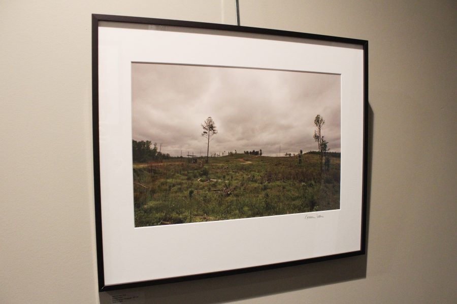 Made in Alabama photography exhibit now on display at Hotel Indigo