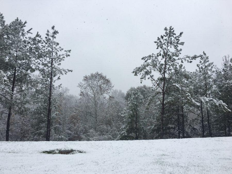Tuscaloosa+under+winter+weather+advisory%2C+University+to+maintain+operations