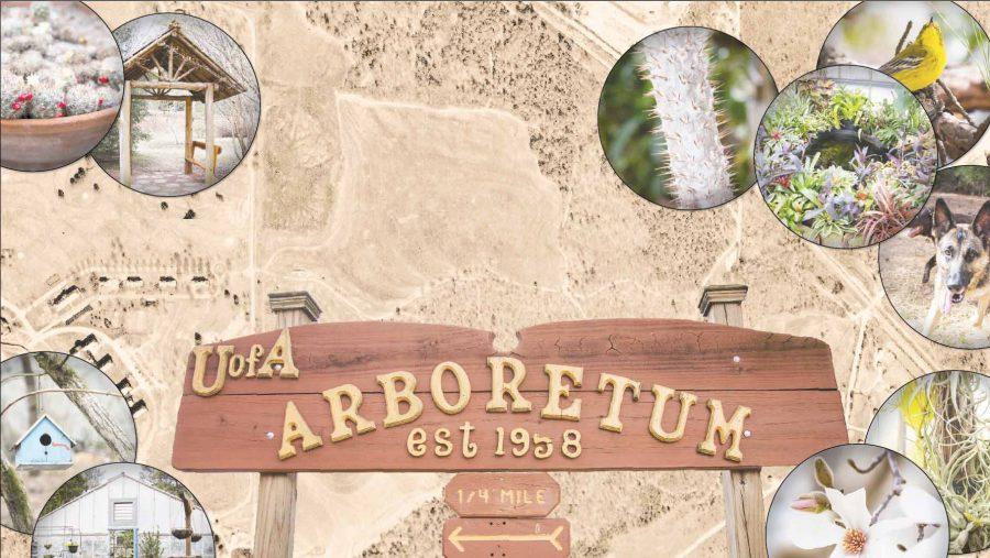 UA arboretum untapped resource