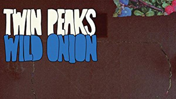 Twin Peaks' new album combines different talents