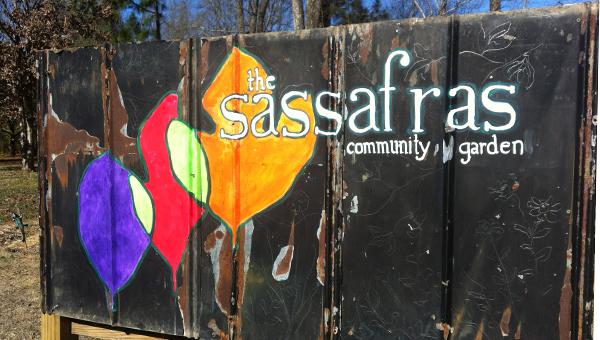 Sassafras grows local arts scene