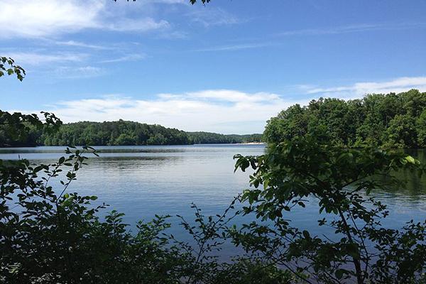 Local Q and A: What's it like to work at Lake Lurleen?