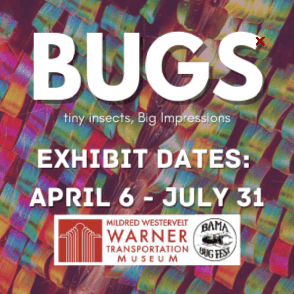 BUGS. tiny insects, Big Impressions. Exhibit dates: April 6 - July 31. Mildred Westervelt Warner Transportation Museum. Bama Bug Fest.