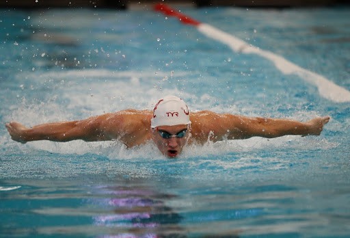 Bernardo Bondra swims the butterfly against Auburn. 