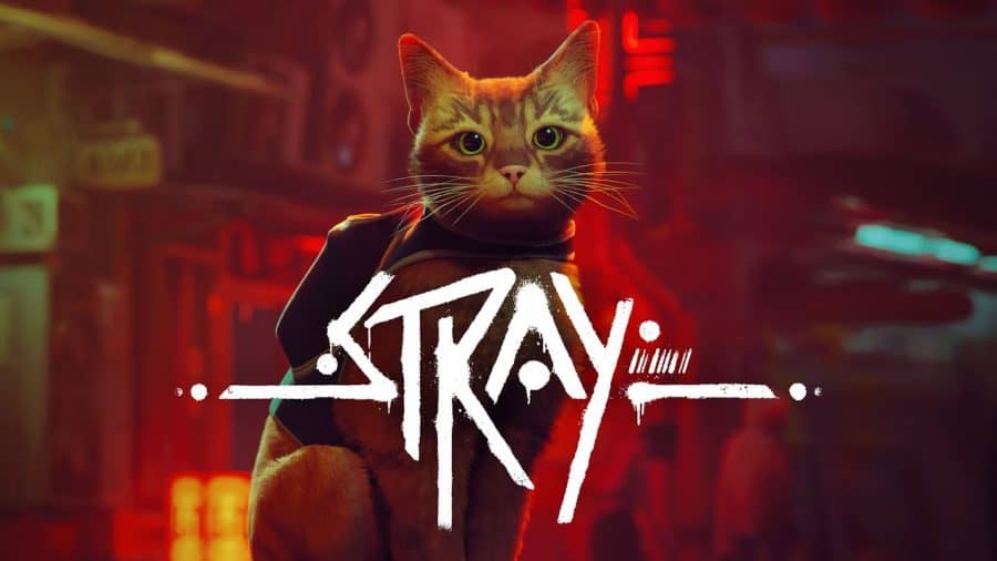 We played 'Stray,' everyone's favorite new cat-centric video game. It's  purrfection