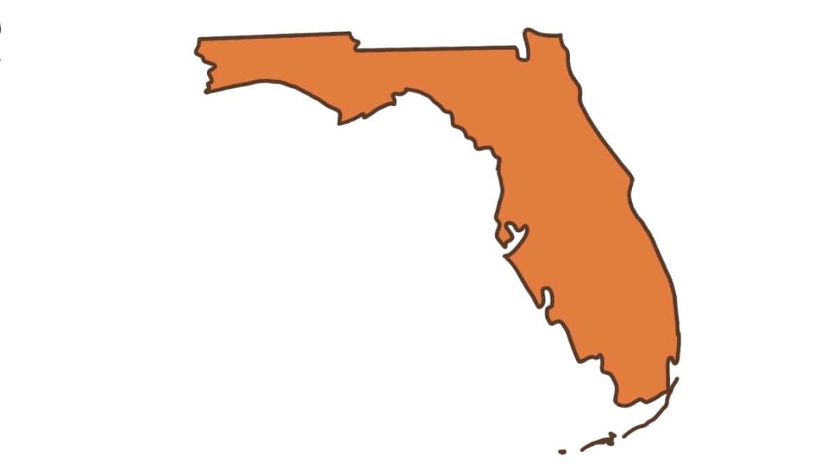 Opinion | Let’s talk about Florida