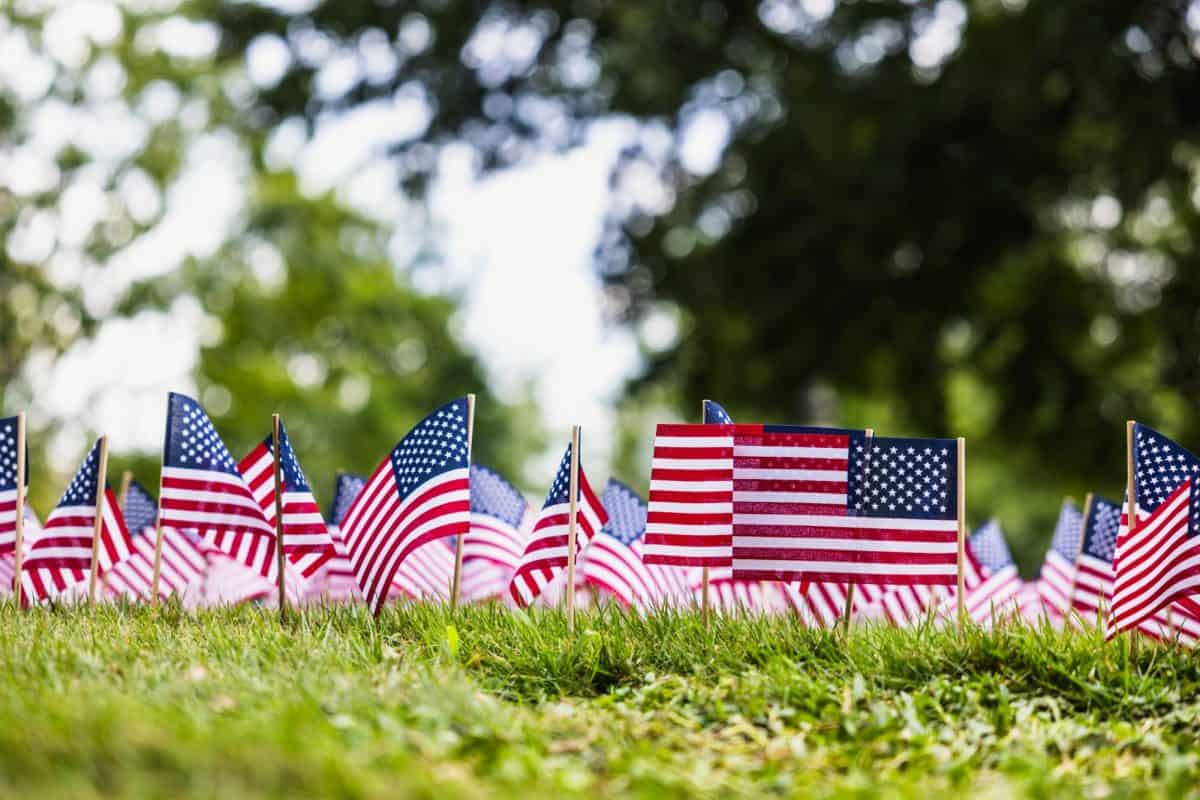 American flags line the Mound in remembrance of 9/11.