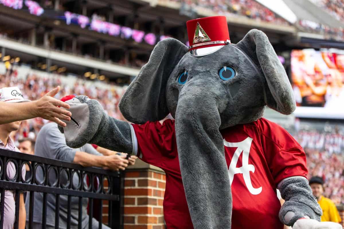 Big Al gives out high-fives to fans prior to the game against Western Kentucky.