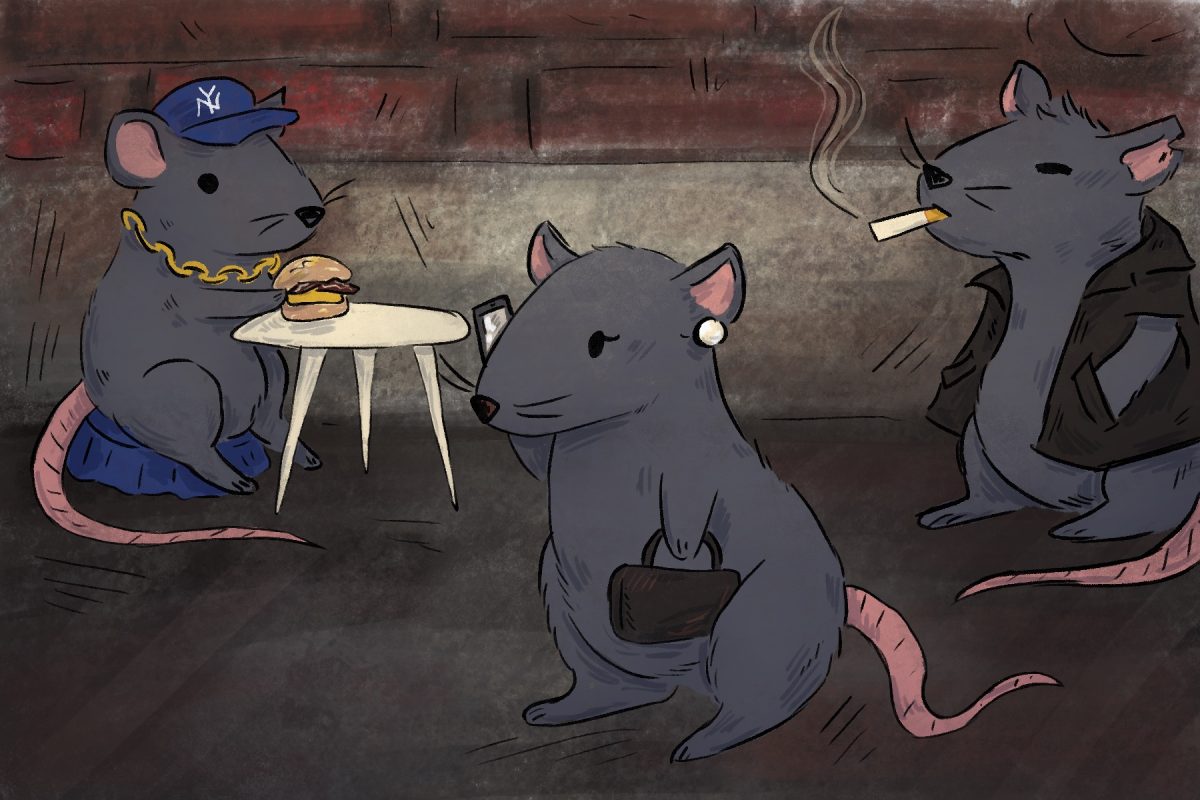 Contraceptives, genetic targeting and a rat czar: The newest development in New York City’s rodent war