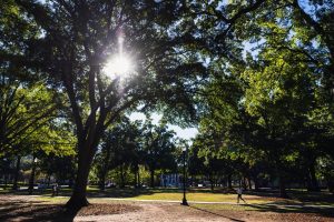 A student walks on the Quad at sunset.