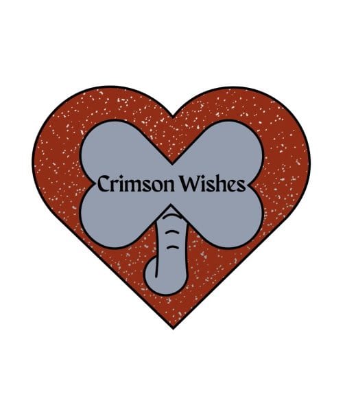 Crimson Wishes provides gifts to children in Tuscaloosa area