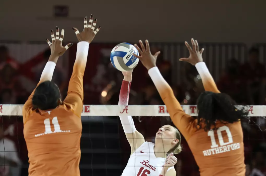 Alabama volleyball player Sophie Agee (#16) jumps to hit the ball against Texas.