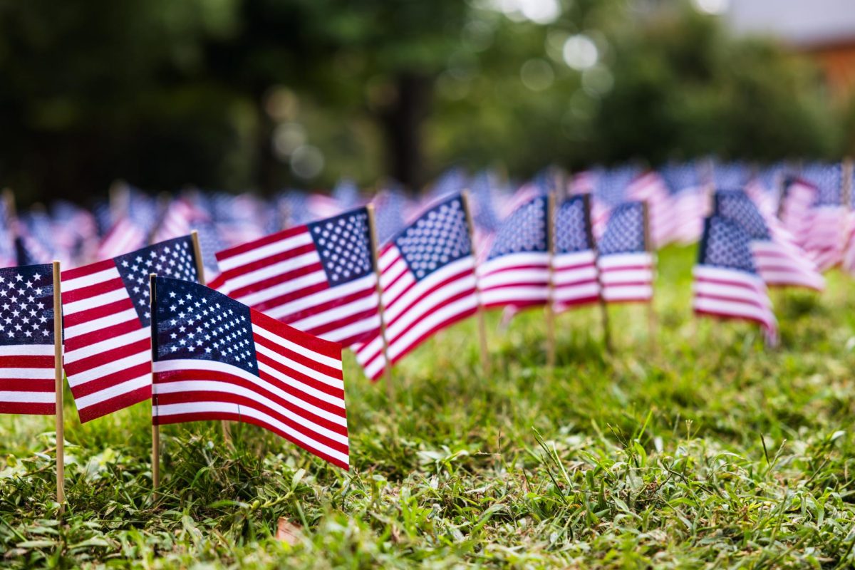 American flags line the Mound on the Quad.