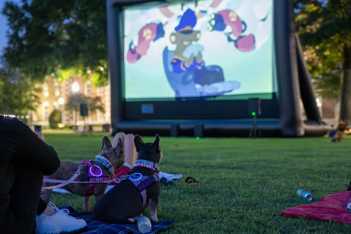 Movie Night on the Quad event on Aug. 16, 2025. 