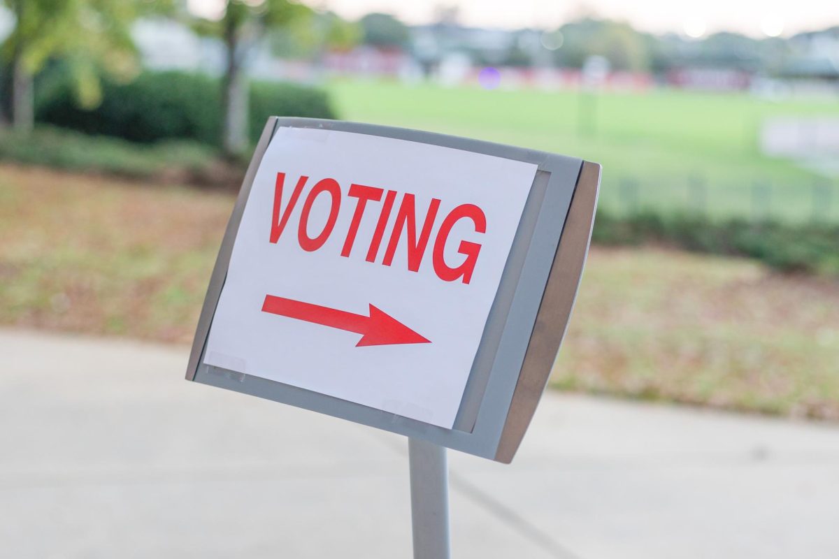 U.S. District Judge Anna Manasco blocked Alabama from using its state Senate district maps in the upcoming 2026 elections.