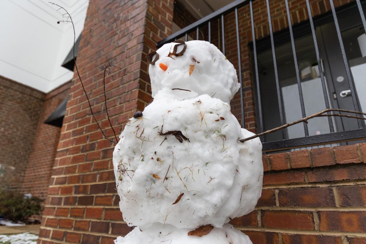 Snowman photographed on Jan. 10, 2025. 