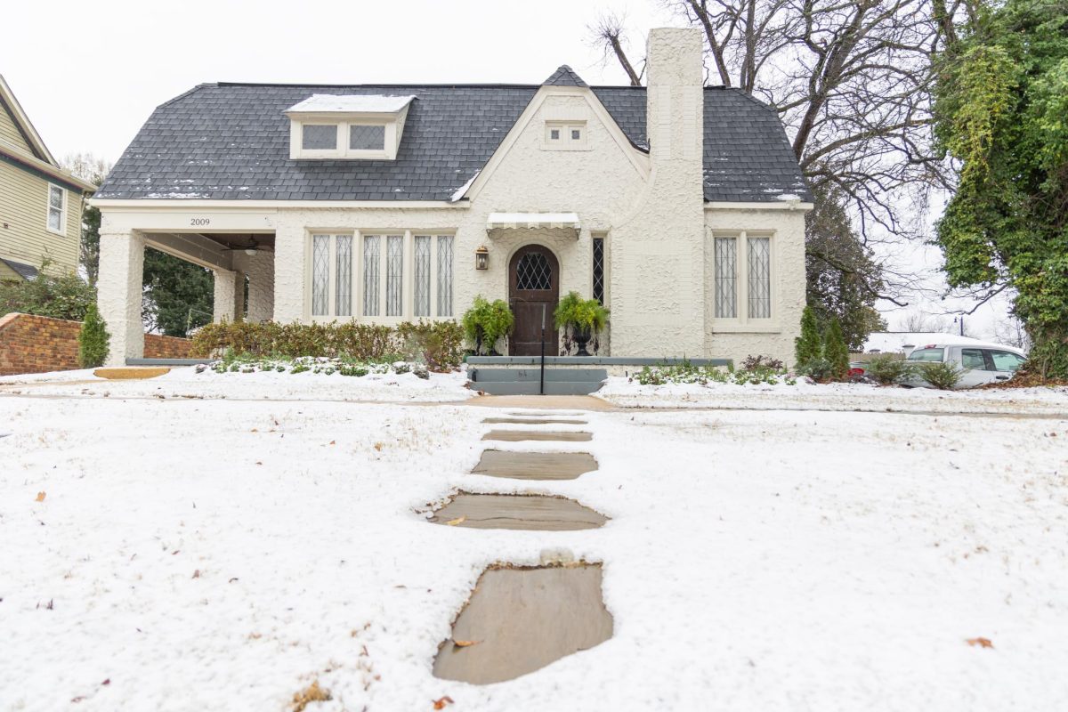 Snow photographed on Jan. 10, 2025. 