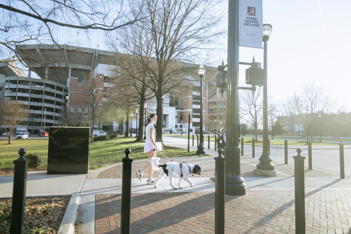 A student walks past Bryant Denny Stadium while walking her dog on Feb. 19, 2026.