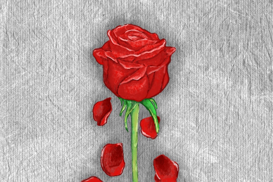 Opinion | Taylor Frankie Paul should have never been selected as Bachelorette